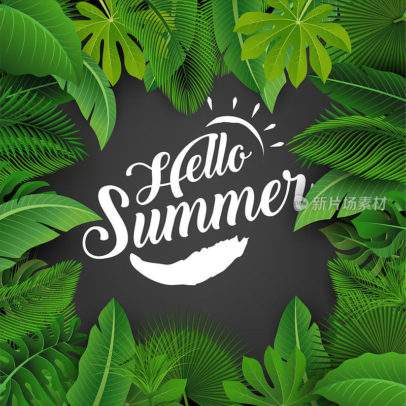 Hello summer sign with Tropical Leaves。适合夏季概念，假期，暑假。矢量图